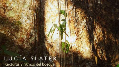 “Texturas y ritmos del bosque” exposición fotográfica de Lucía Slater Villar