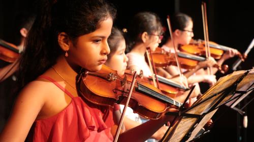Taller Violin (1)