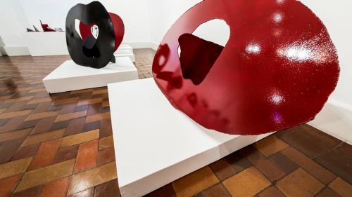 INAUGURACIÓN DE LA MUESTRA "ORBITALES" DE ALEX CAMINITI