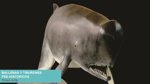 expo ballenas-