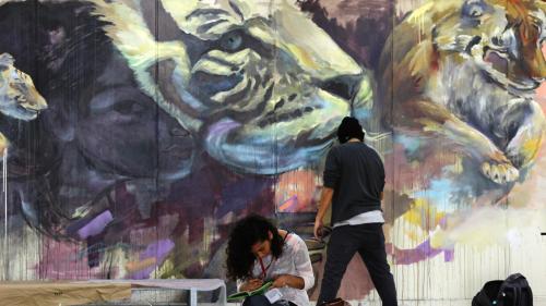 Estudiar profesionalmente Artes Visuales en Perú - 2017 - [actualizado 2017]