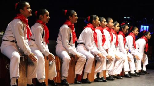 Festival Internacional de Cajón y Percusión 2026 se realizará del 31 de julio al 2 de agosto con una programación diversa y gratuita