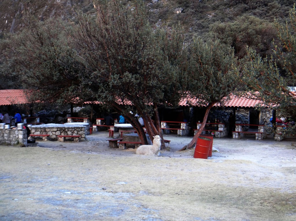 DSC06870